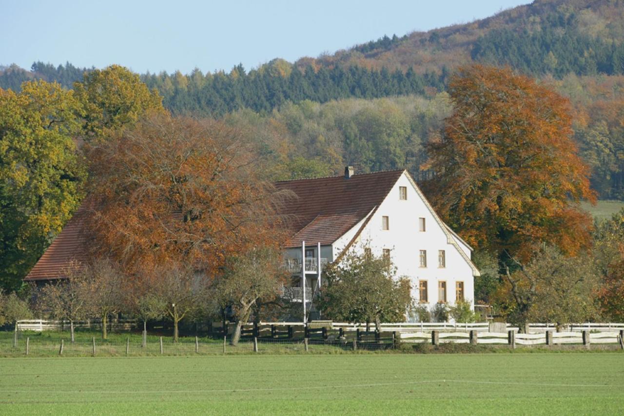 Ferienwohnung An Der Obstwiese Borgholzhausen ภายนอก รูปภาพ
